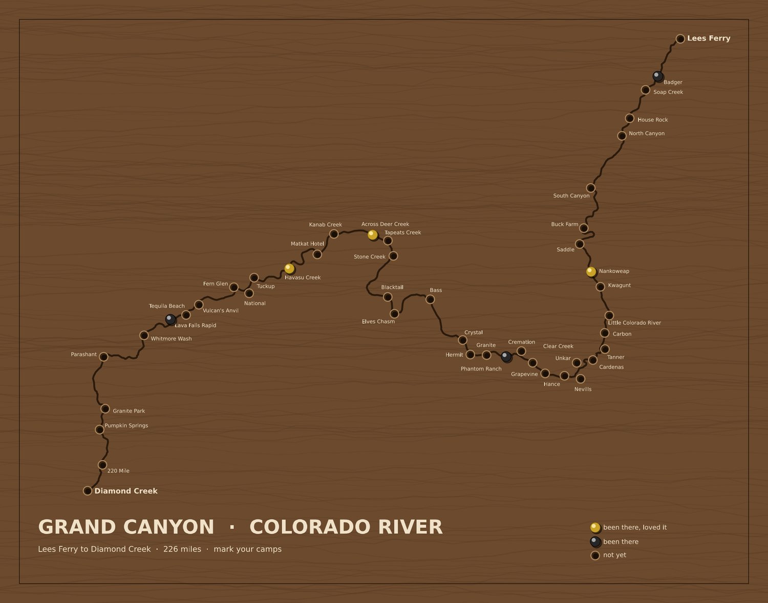 Grand Canyon board before: bare first-generation layout